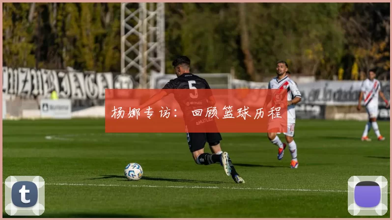 杨娜专访：回顾篮球历程