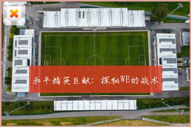 和平精英巨献：探秘WE的战术