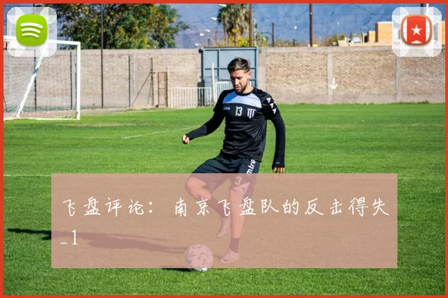 飞盘评论：南京飞盘队的反击得失_1